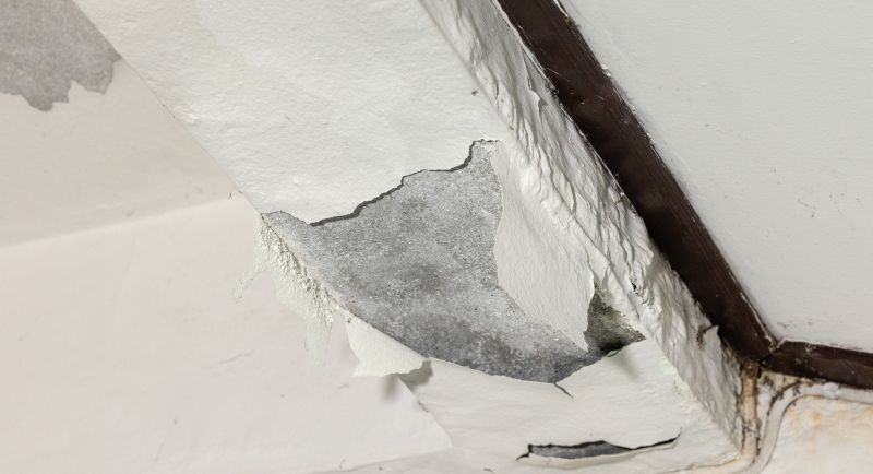 Ceiling Plaster Repair