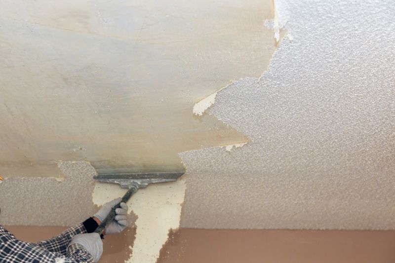 Ceiling Texture Repair