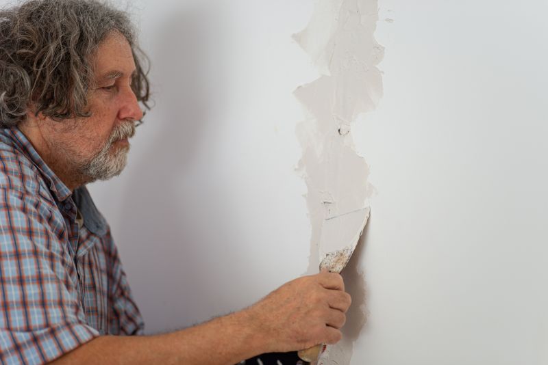 Residential Plaster Repair detail