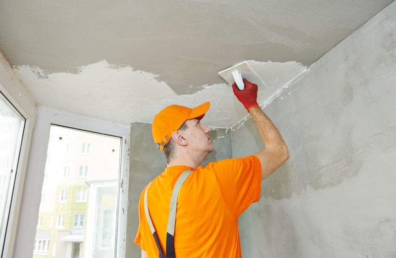 Plaster Ceiling Repair