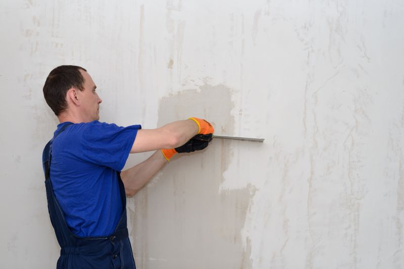 Wall Plastering Service